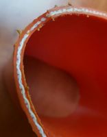 Hígtrágya kijuttató és szállító eszközök MADALS DRAGMAN hígtrágya öntözés kijuttató lapos tömlő