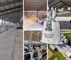 Áru/termék/élőállat  Fiber szál betonba 5kg-os kiszerelés