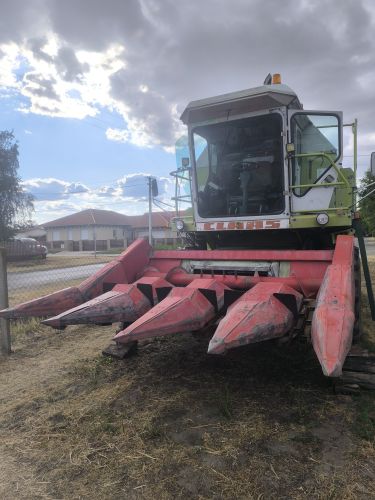 Eladó használt Claas dominator 96