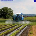  KERTÉSZETI TRAKTOR Fobro Mobile D92 4. kép