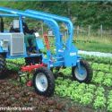  KERTÉSZETI TRAKTOR Fobro Mobile D92 10. kép