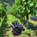  Ecotech Italia HRT 135 Swing rézsűnyíró bozótirtó gép 2. kép