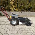 DAKR Triton Mulcher 3. kép