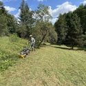 DAKR 7,5 LE-S TRITON L224 MAGASGAZVÁGÓ-MULCSOZÓ GÉP (CSEH GYÁRTMÁNY) 7. kép